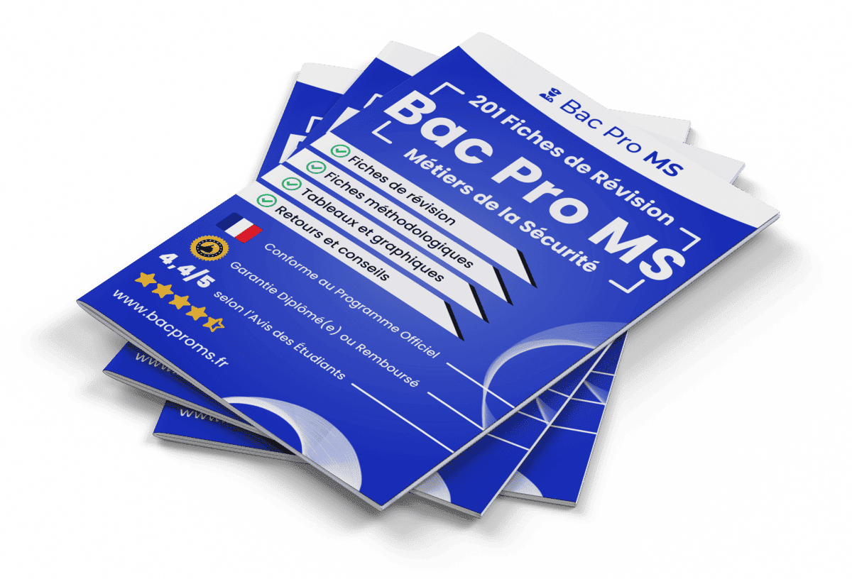 201 Fiches de Révision pour le Bac Pro MS